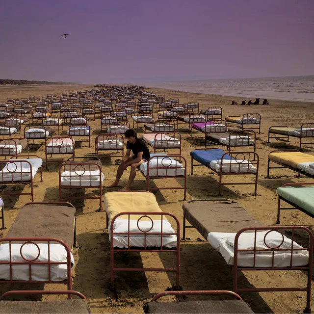A Momentary Lapse of Reason • Cały album • Wszystkie utwory • Wykonawca