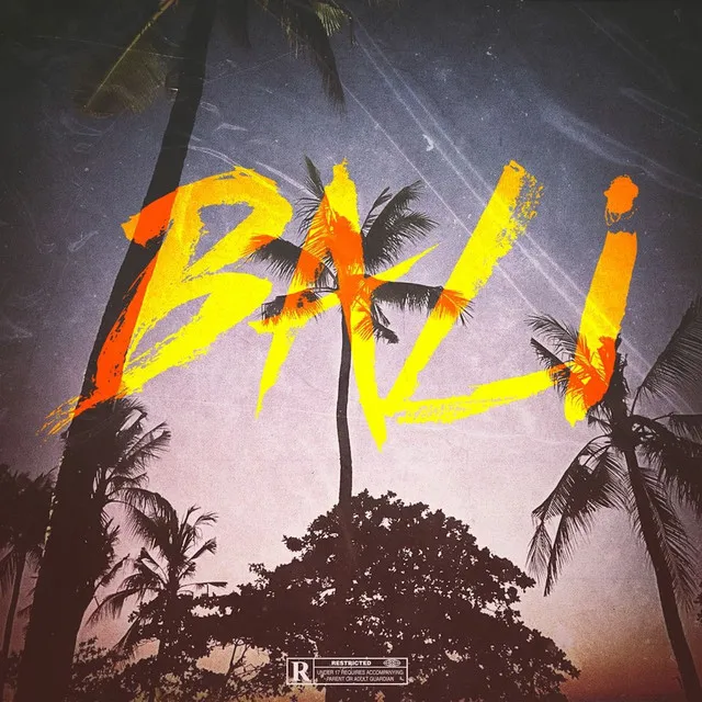 BALI • Cały album • Wszystkie utwory • Wykonawca