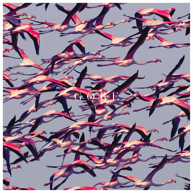Prayers / Triangles • Cały album • Wszystkie utwory • Wykonawca