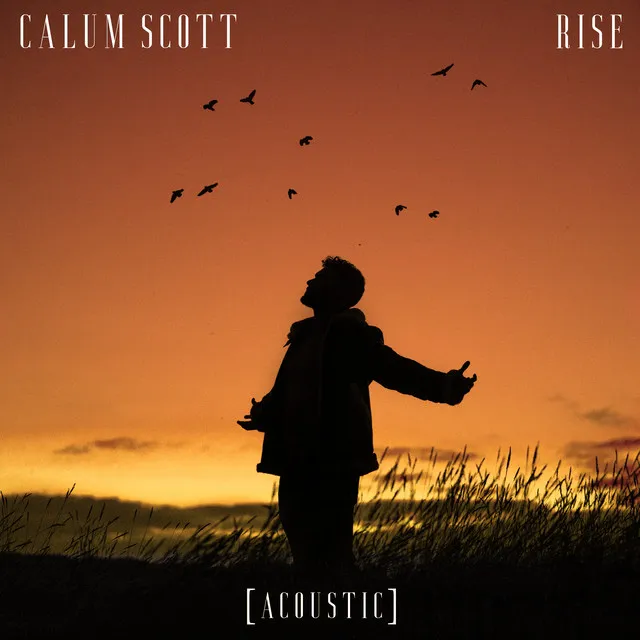 Rise (Acoustic) • Cały album • Wszystkie utwory • Wykonawca