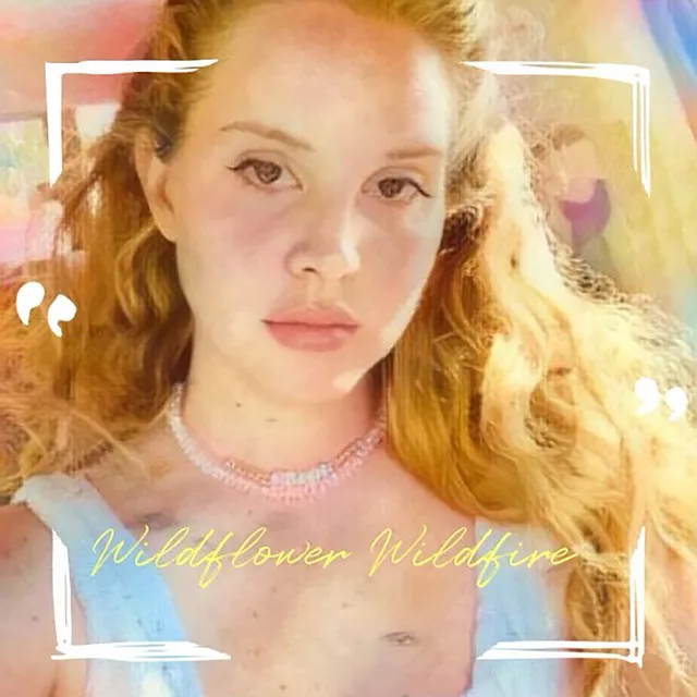 Wildflower Wildfire • Cały album • Wszystkie utwory • Wykonawca