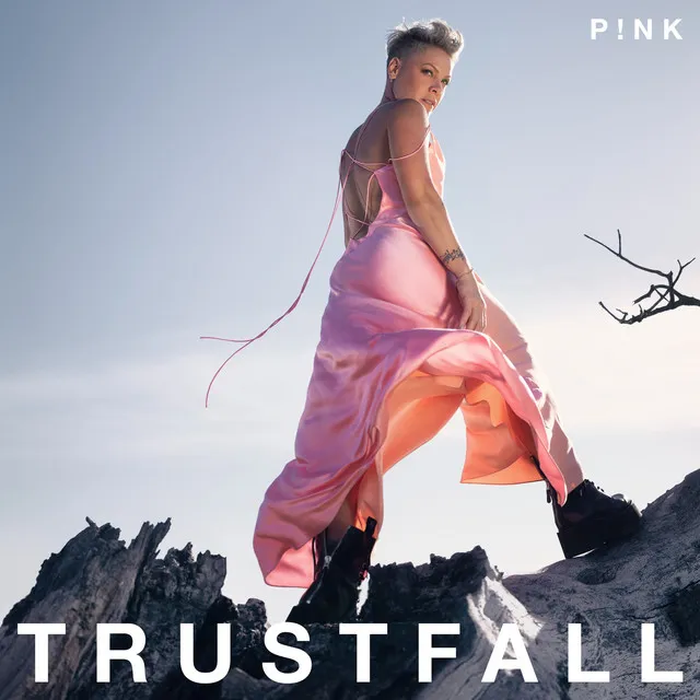 TRUSTFALL • Cały album • Wszystkie utwory • Wykonawca