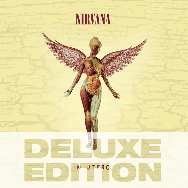 In Utero (Deluxe Edition) • Cały album • Wszystkie utwory • Wykonawca