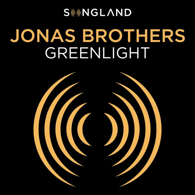 Greenlight (From "Songland") • Cały album • Wszystkie utwory • Wykonawca