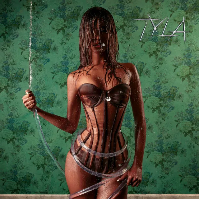 TYLA + • Cały album • Wszystkie utwory • Wykonawca