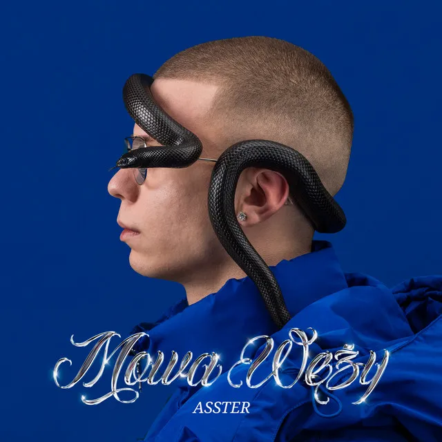 MOWA WĘŻY • Cały album • Wszystkie utwory • Wykonawca