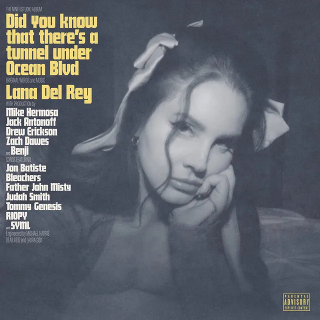 Did you know that there's a tunnel under Ocean Blvd • Cały album • Wszystkie utwory • Wykonawca