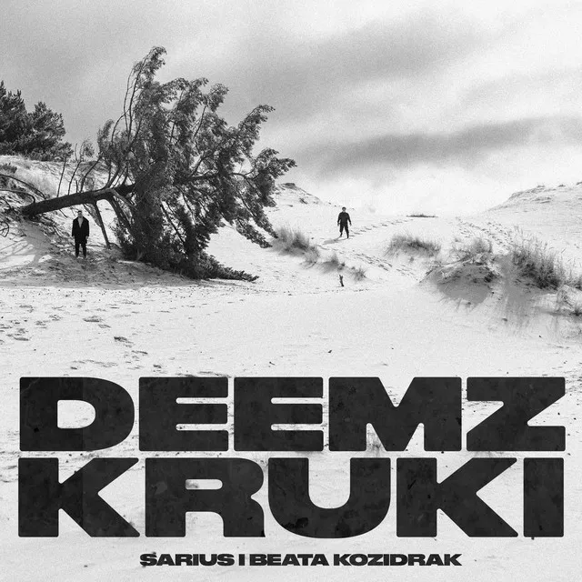 Kruki • Cały album • Wszystkie utwory • Wykonawca