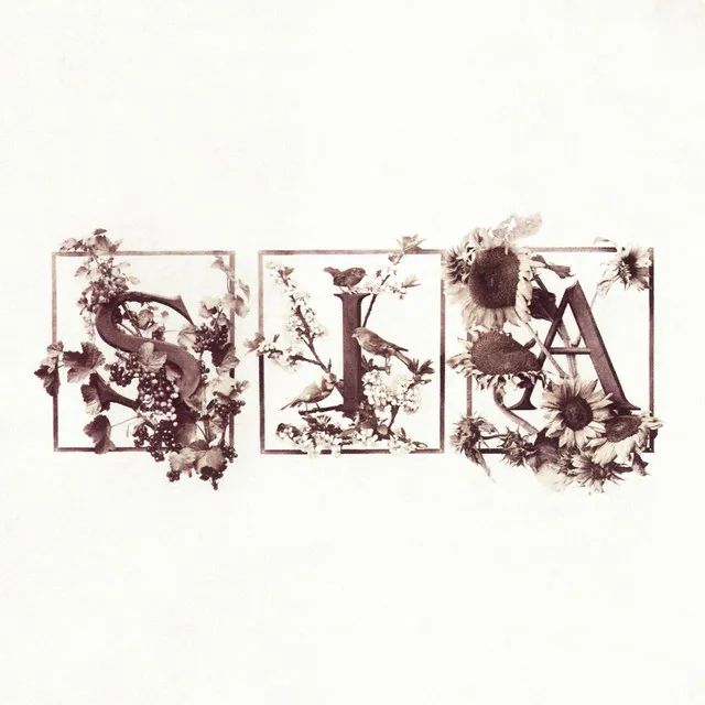 Colour The Small One (Deluxe Edition) • Cały album • Wszystkie utwory • Wykonawca