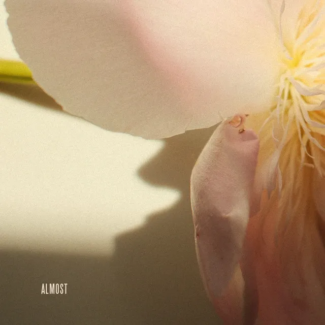 Almost • Cały album • Wszystkie utwory • Wykonawca