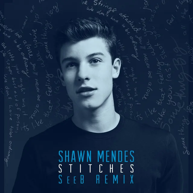 Stitches (Seeb Remix) • Cały album • Wszystkie utwory • Wykonawca