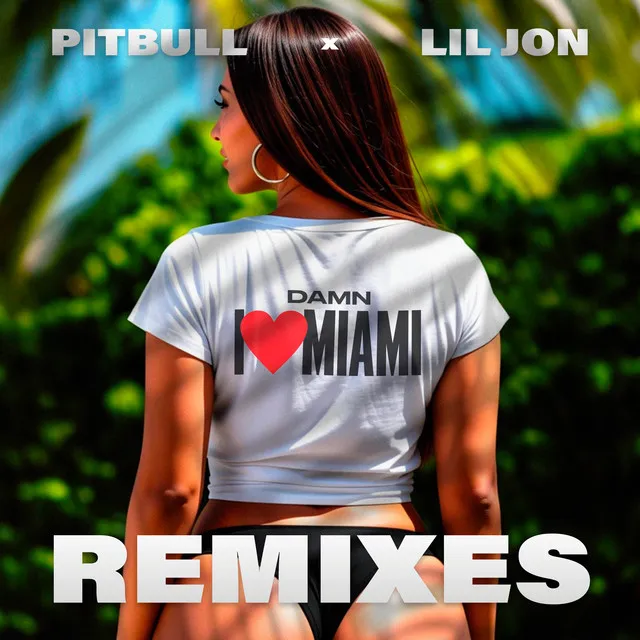 Damn I Love Miami • Cały album • Wszystkie utwory • Wykonawca