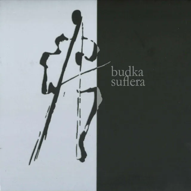 Akustycznie • Cały album • Wszystkie utwory • Wykonawca
