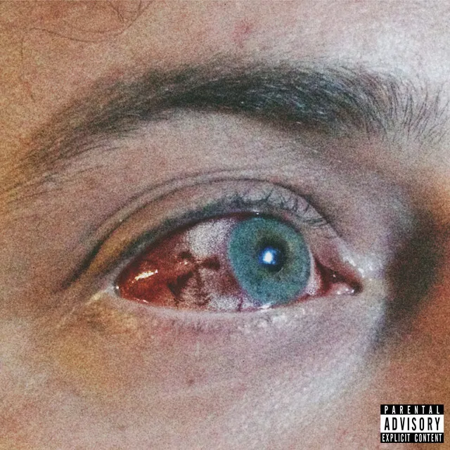 Drones • Cały album • Wszystkie utwory • Wykonawca