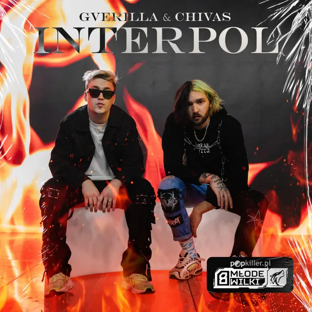 Interpol • Cały album • Wszystkie utwory • Wykonawca