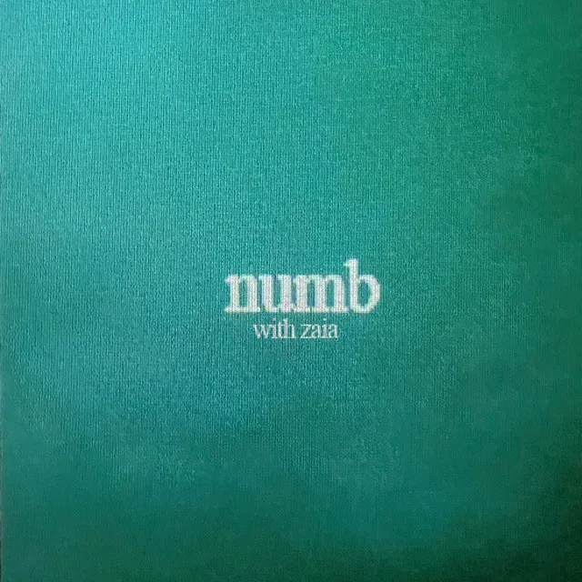 numb (feat. Zaia) • Cały album • Wszystkie utwory • Wykonawca