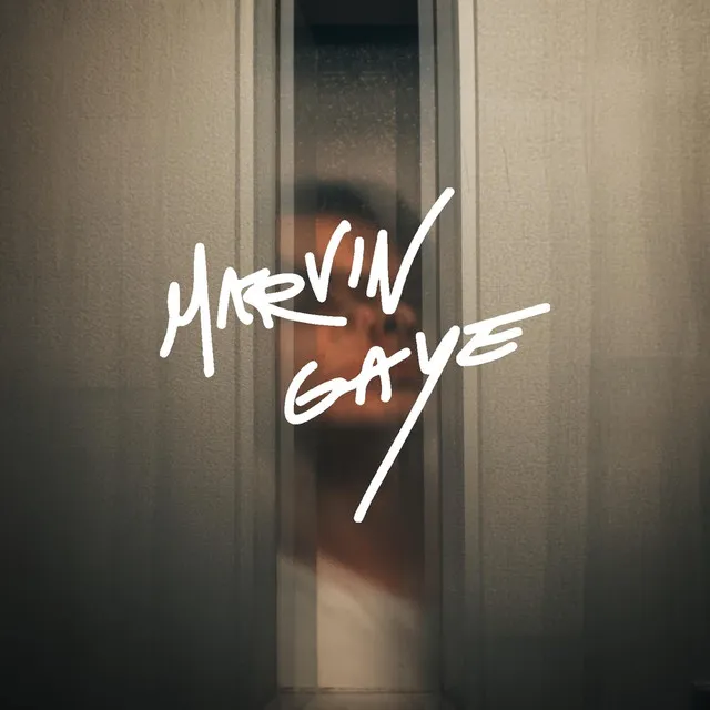 Marvin Gaye • Cały album • Wszystkie utwory • Wykonawca