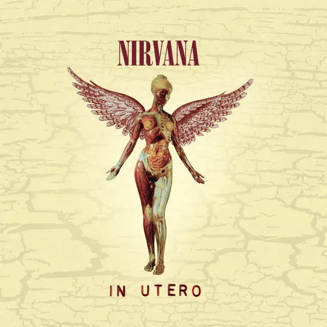 In Utero • Cały album • Wszystkie utwory • Wykonawca