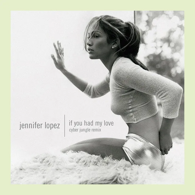 If You Had My Love (Cyber Jungle Remix) • Cały album • Wszystkie utwory • Wykonawca