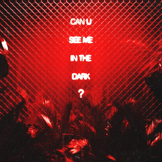 can u see me in the dark? • Cały album • Wszystkie utwory • Wykonawca