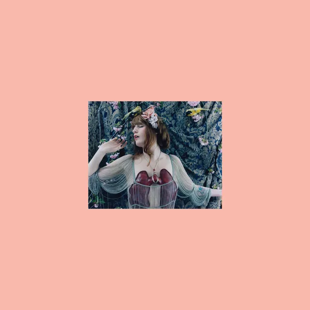 Lungs (10th Anniversary Edition) • Cały album • Wszystkie utwory • Wykonawca