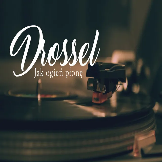 JAK OGIEŃ PŁONĘ • Cały album • Wszystkie utwory • Wykonawca