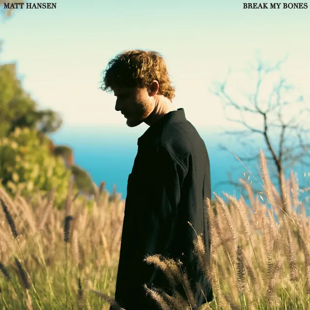 break my bones • Cały album • Wszystkie utwory • Wykonawca