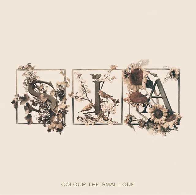 Colour The Small One • Cały album • Wszystkie utwory • Wykonawca