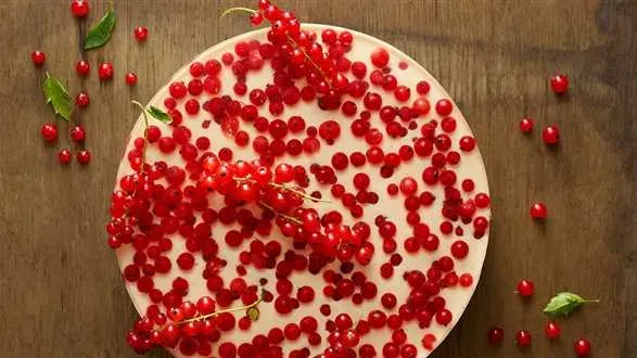 Sernik na zimno z porzeczkami i galaretką z cydru 