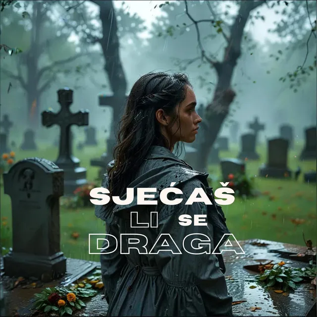 SJEĆAŠ LI SE DRAGA • Cały album • Wszystkie utwory • Wykonawca