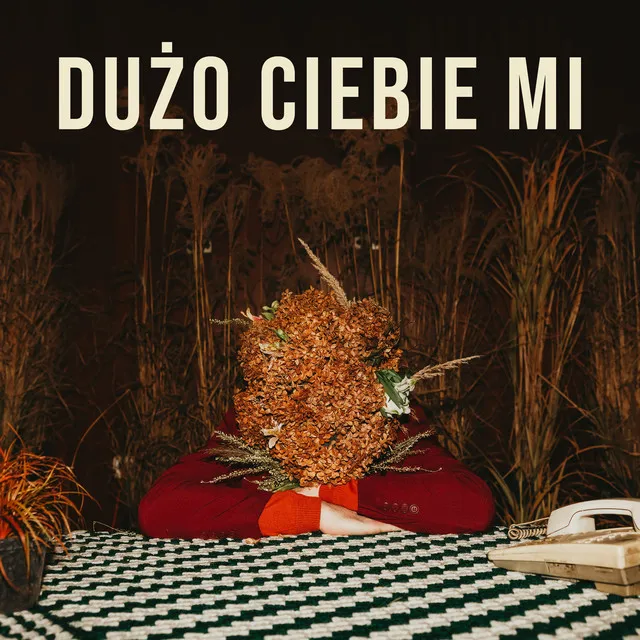 Dużo Ciebie Mi • Cały album • Wszystkie utwory • Wykonawca
