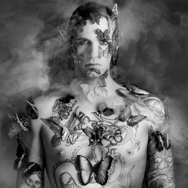 Senza Una Stupida Storia • Cały album • Wszystkie utwory • Wykonawca