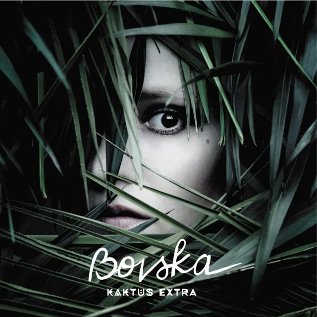 Kaktus EXTRA • Cały album • Wszystkie utwory • Wykonawca