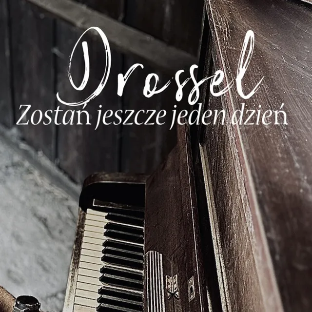 ZOSTAŃ JESZCZE JEDEN DZIEŃ • Cały album • Wszystkie utwory • Wykonawca