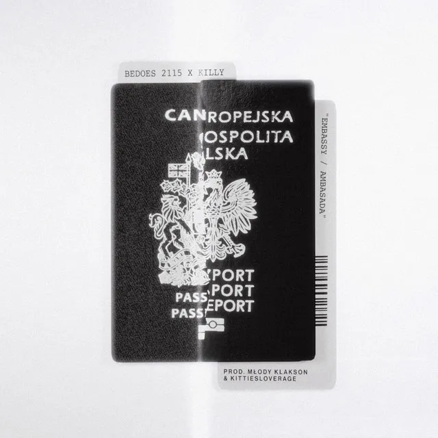 EMBASSY / AMBASADA • Cały album • Wszystkie utwory • Wykonawca