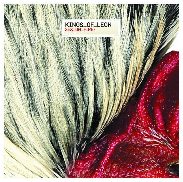 Sex On Fire • Cały album • Wszystkie utwory • Wykonawca