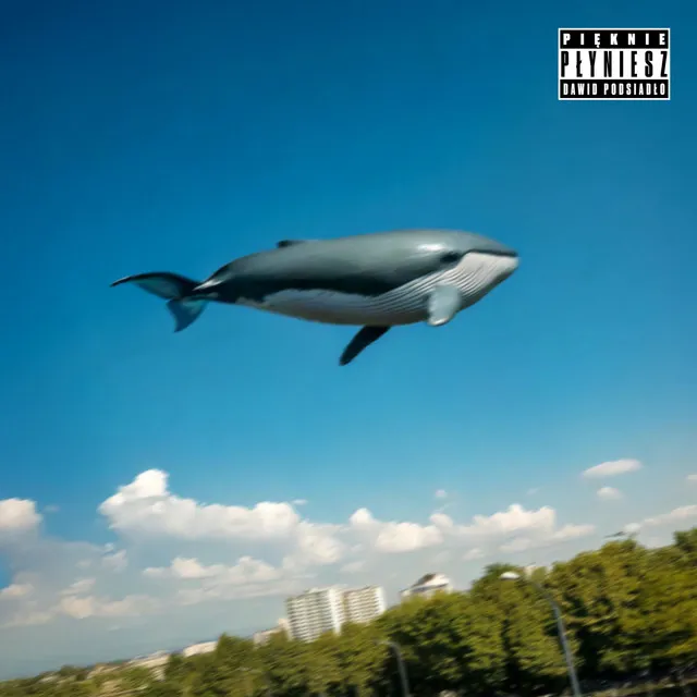 Pięknie płyniesz • Cały album • Wszystkie utwory • Wykonawca