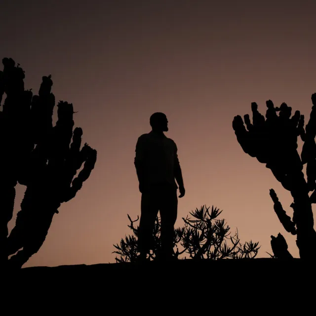 Na dystans • Cały album • Wszystkie utwory • Wykonawca