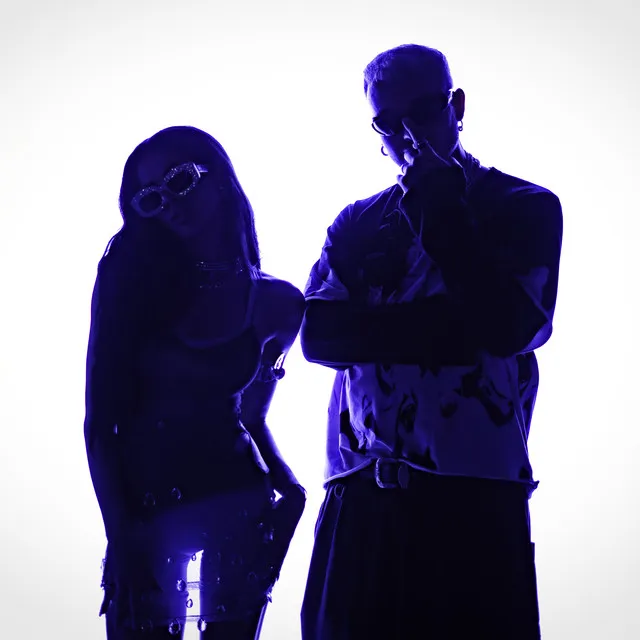 Stały ląd • Cały album • Wszystkie utwory • Wykonawca