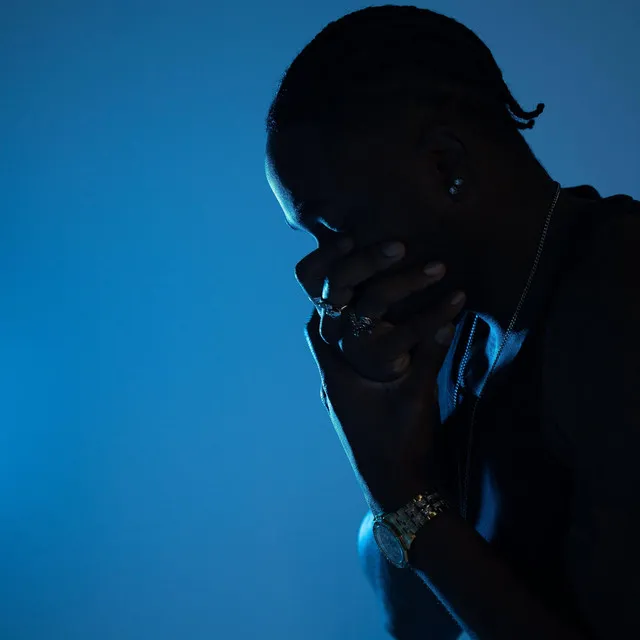 Selfish Nightmares 2 (Slowed) • Cały album • Wszystkie utwory • Wykonawca