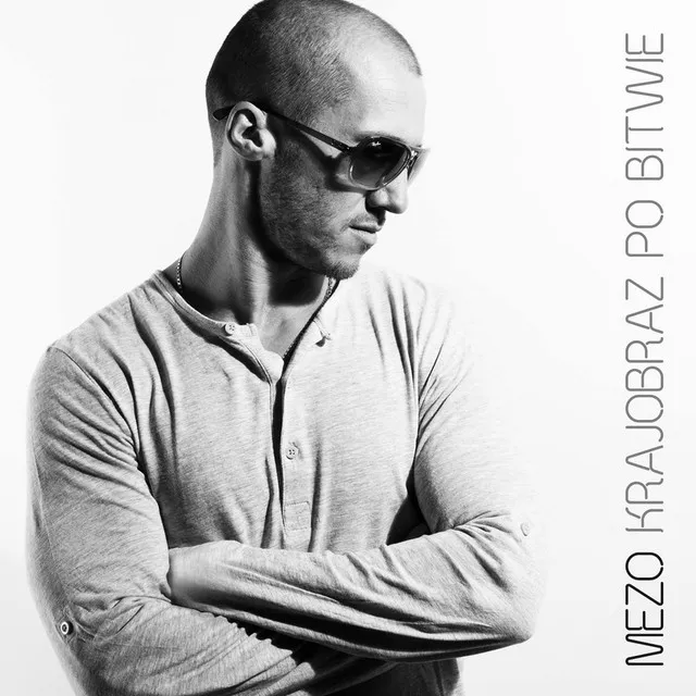 Krajobraz po bitwie • Cały album • Wszystkie utwory • Wykonawca