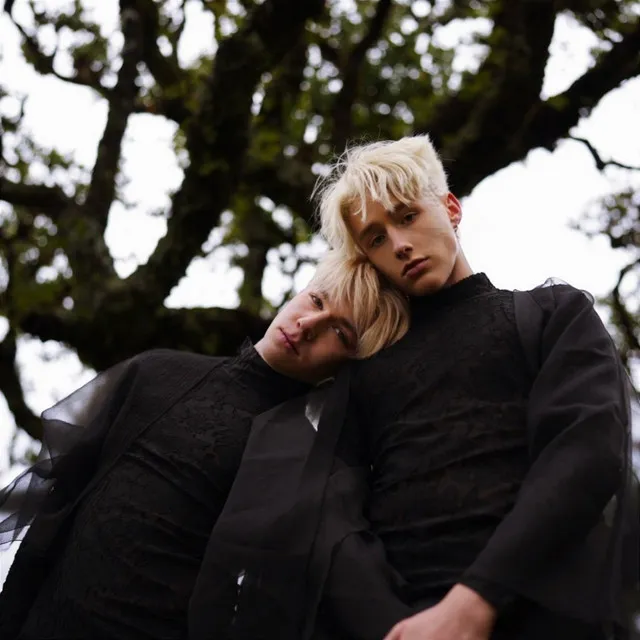 Rozdarty • Cały album • Wszystkie utwory • Wykonawca