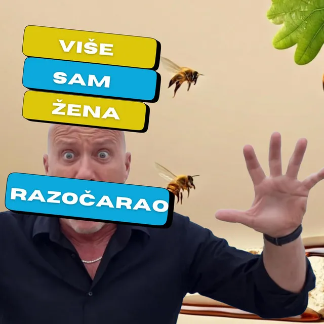 VIŠE SAM ŽENA RAZOČARAO • Cały album • Wszystkie utwory • Wykonawca
