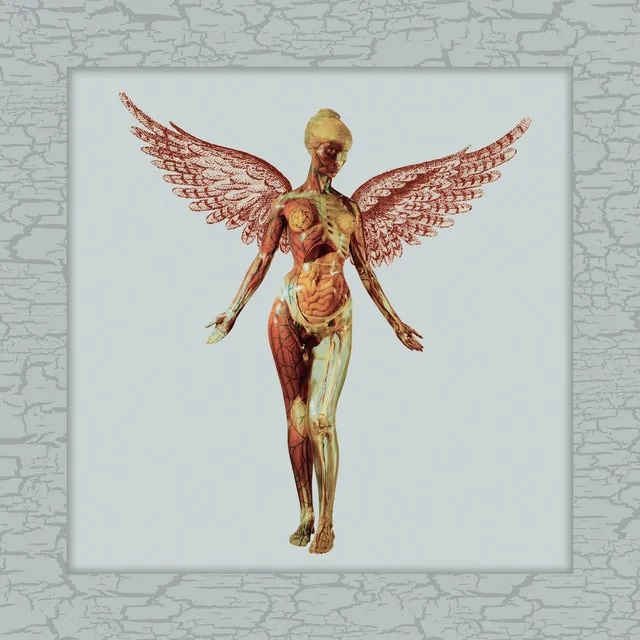 In Utero (30th Anniversary Super Deluxe) • Cały album • Wszystkie utwory • Wykonawca