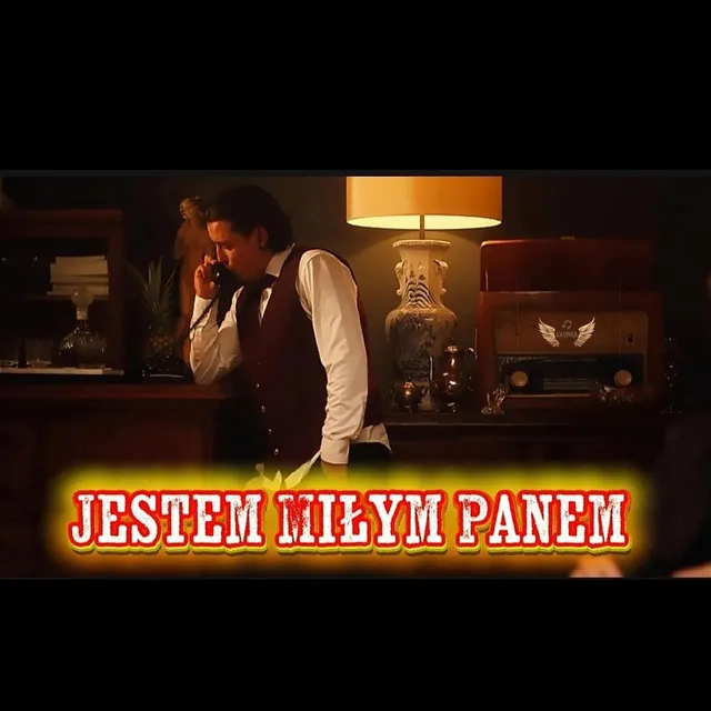 Jestem Miłym Panem Remix Przez Cały Wieczór • Cały album • Wszystkie utwory • Wykonawca