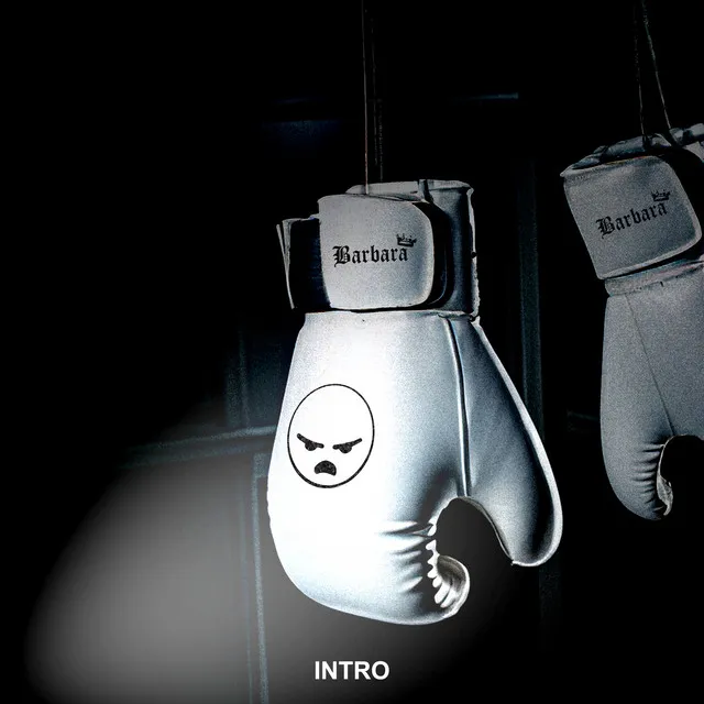 INTRO • Cały album • Wszystkie utwory • Wykonawca