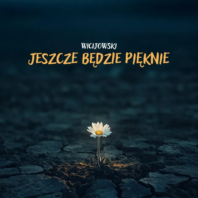 Jeszcze będzie pięknie • Cały album • Wszystkie utwory • Wykonawca