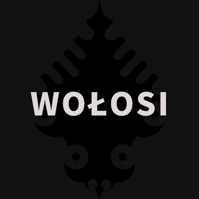 Wołosi • Cały album • Wszystkie utwory • Wykonawca
