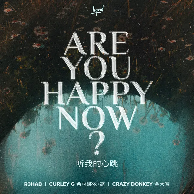 Are You Happy Now • Cały album • Wszystkie utwory • Wykonawca