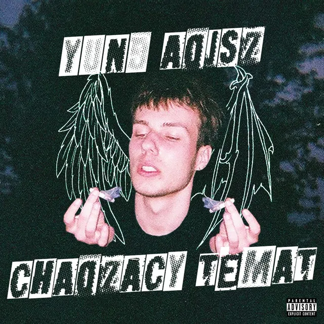 CHODZĄCY TEMAT • Cały album • Wszystkie utwory • Wykonawca